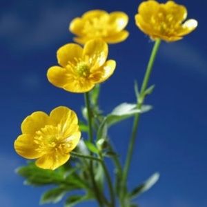 Meet your Posher, Andie